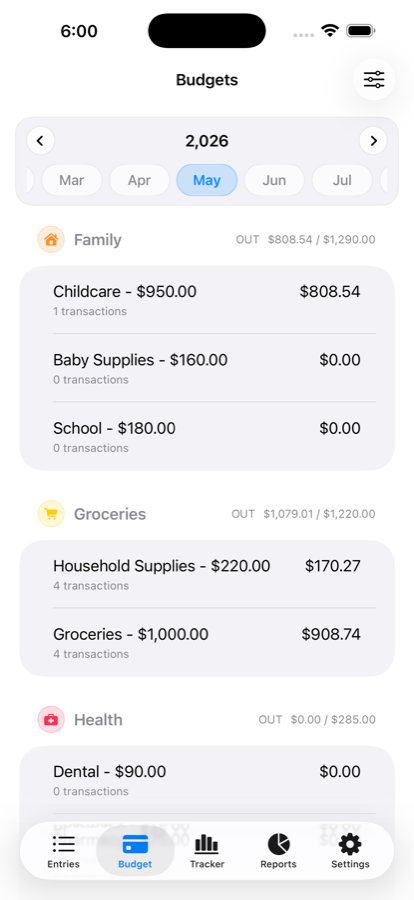 Wise Budget budget screen with category totals and monthly budget details.